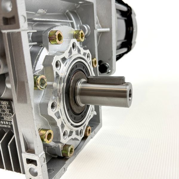 Електродвигун BLDC 48V 1000W в зборі з черв'ячним редуктором NMRV63 3270 фото
