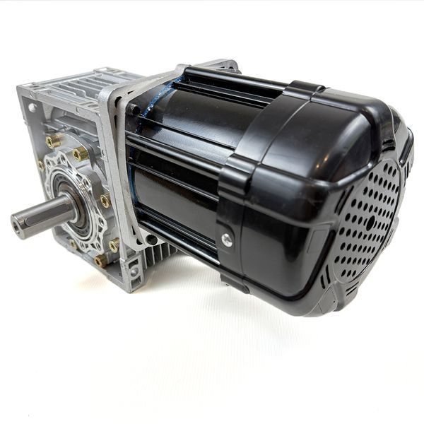 Електродвигун BLDC 48V 1000W в зборі з черв'ячним редуктором NMRV63 3270 фото